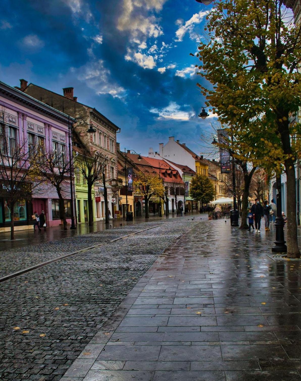 Phoenix Central Apartments Sibiu Bagian luar foto