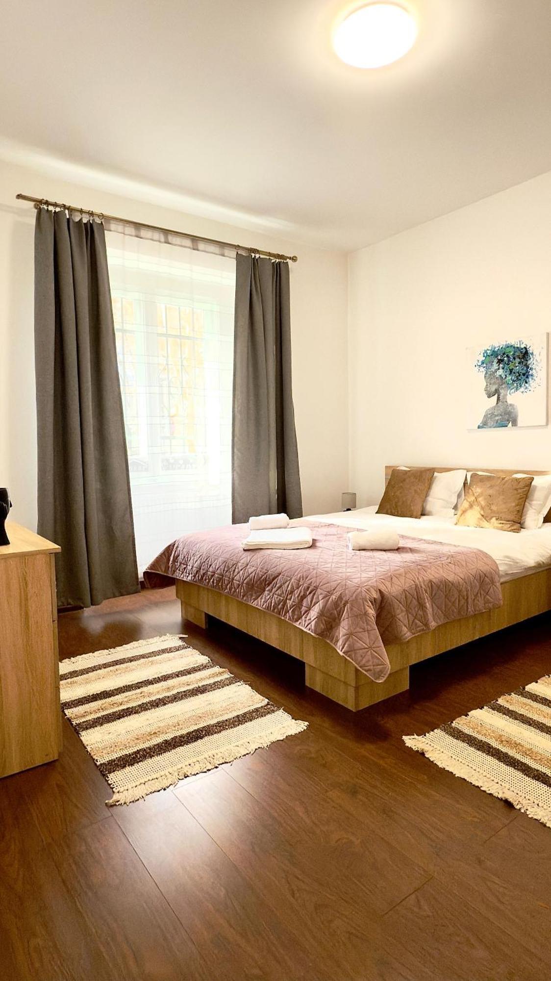 Phoenix Central Apartments Sibiu Bagian luar foto