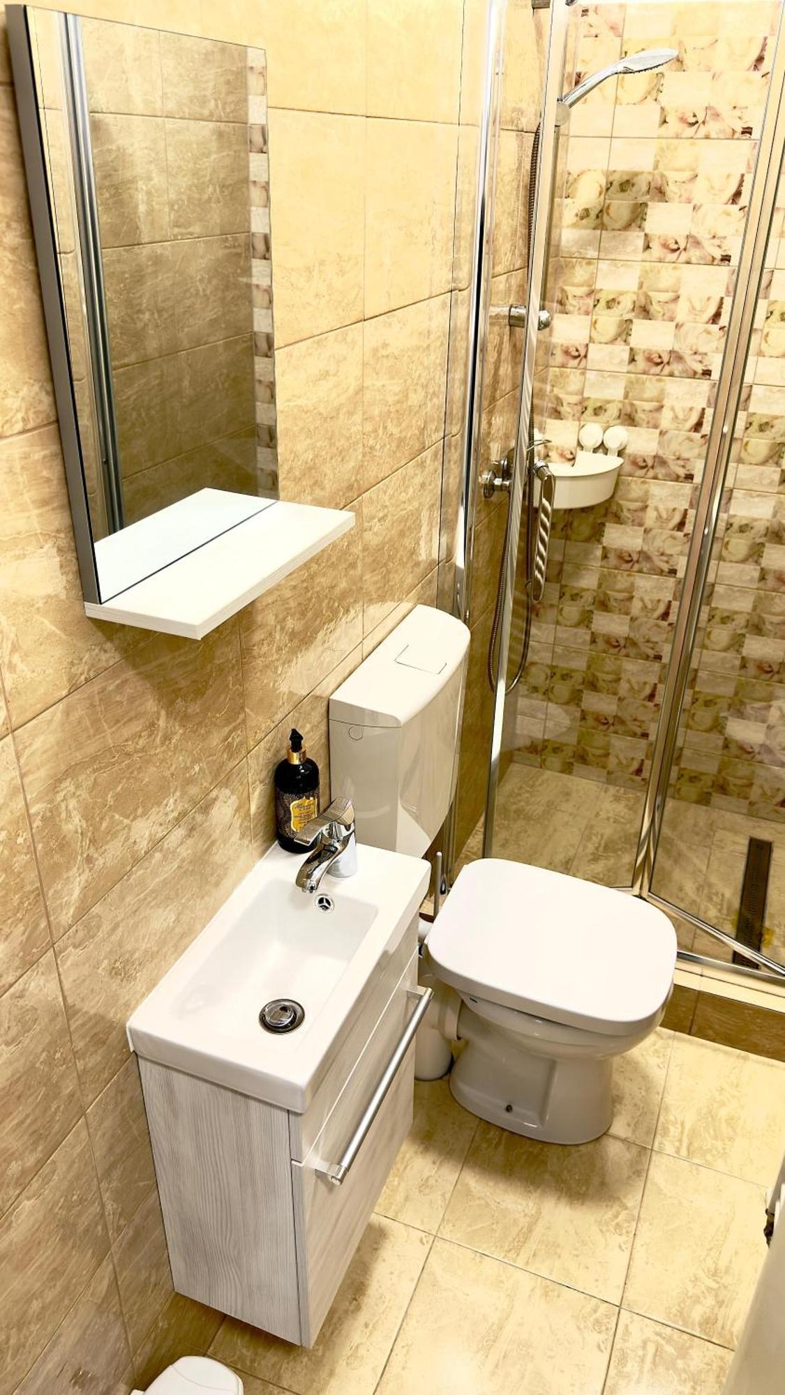 Phoenix Central Apartments Sibiu Bagian luar foto